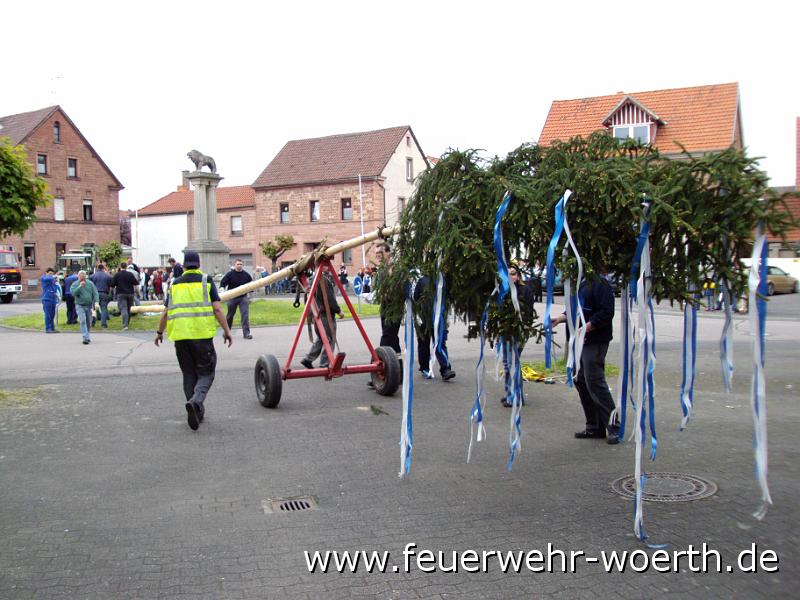 maibaum_2009_ 010.jpg